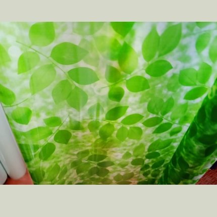 Glass Films